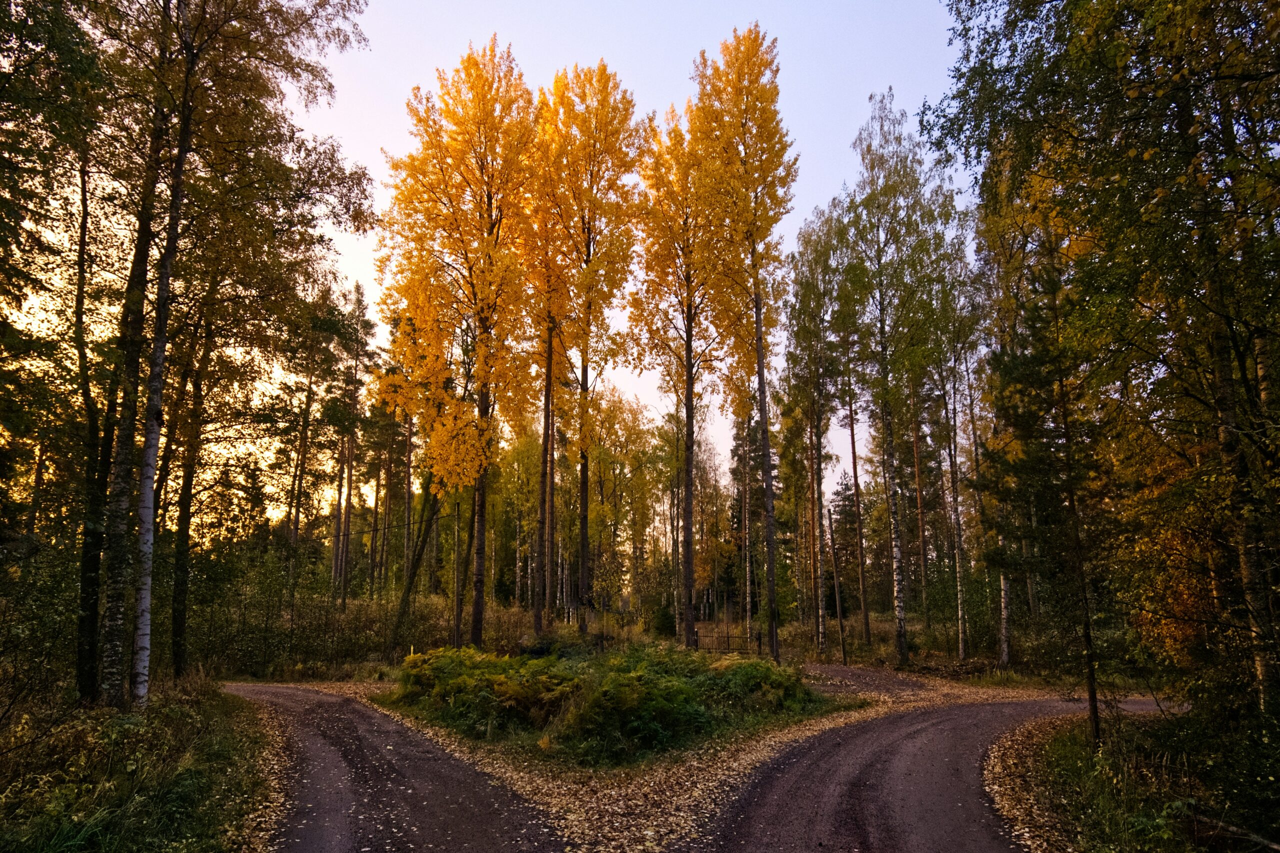 What Kind of Country Should America Be?