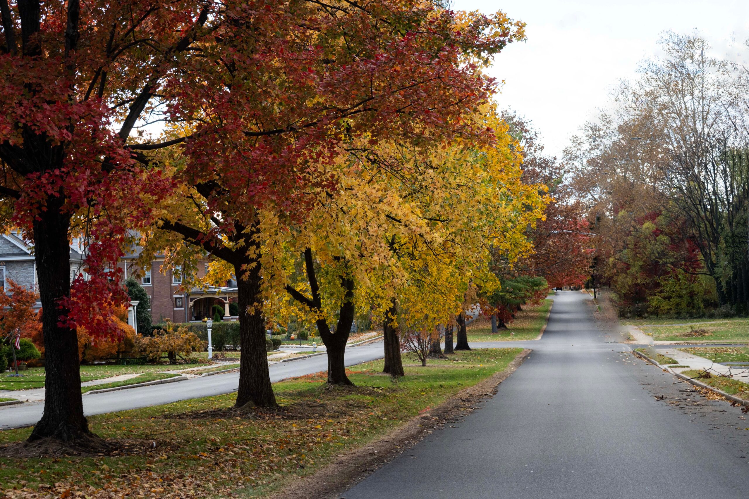 Human Trafficking Is Happening in Your Neighborhood. It Is Time We Stop Pretending Otherwise.